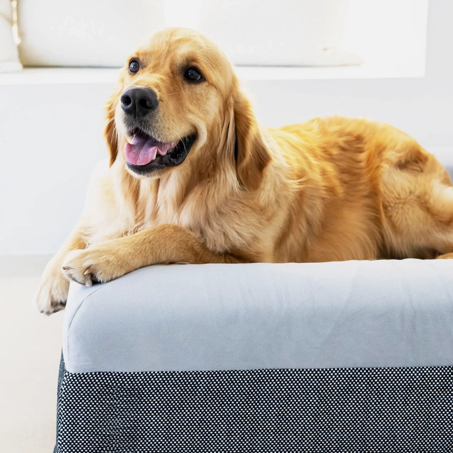 Dog Bed Microsuede & Linen
